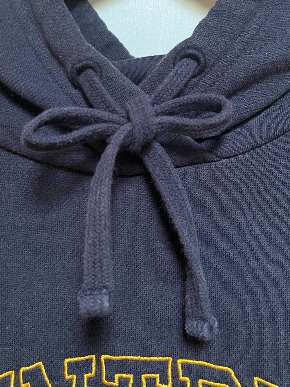 SZ MENS L - 10 Tree Pullover Hoodie with Embroidered Logo and Wolf